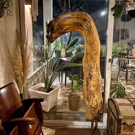 Black Market Hotel Isquia