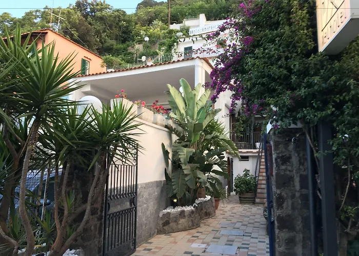 Отель Black Market